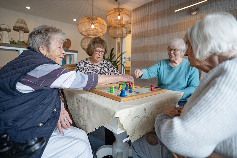 Gemeinsam Brettspiel spielen