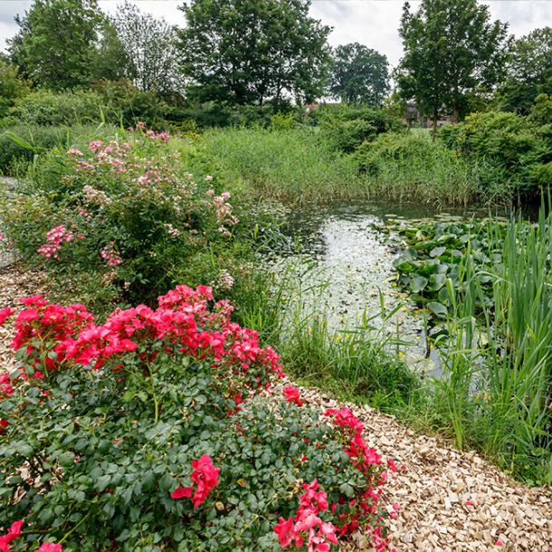 Blühender Garten
