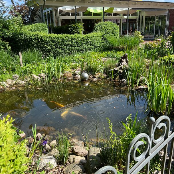 Teich im Garten