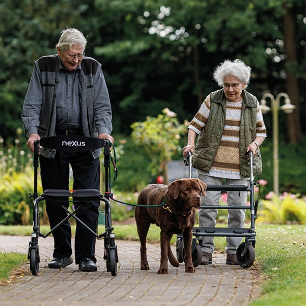 Spaziergang mit Hund
